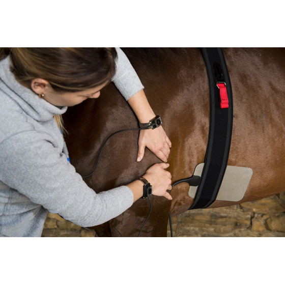 bracelet résistif Back 1S Tecarthérapie EQUIN - Winback bracelet résistif Back 1S Tecarthérapie EQUIN - Winback